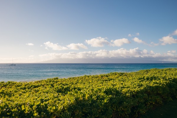 At Myths of Maui, the ocean is our backyard. Settle into a beautiful display of culture while enjoying the comfort of the oceanic backdrop.Get your tickets online today and experience Maui’s oldest running oceanfront luau.

MythsOfMaui MauiLuau Luau lahaina royallahaina mauithingstodo